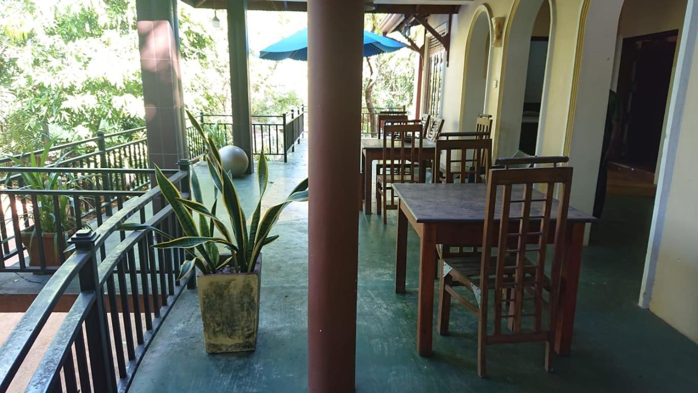 Leopard City Hostel Yala 蒂瑟默哈拉默 外观 照片