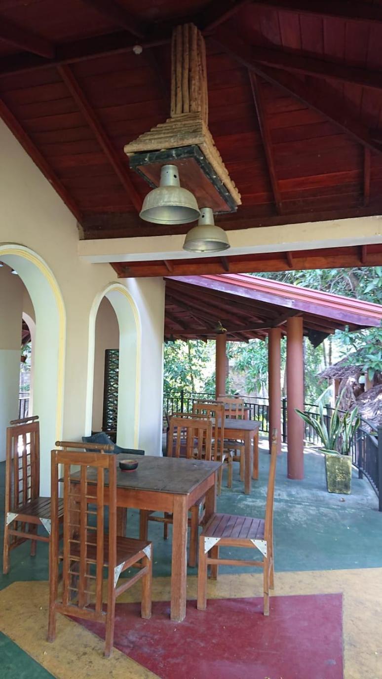 Leopard City Hostel Yala 蒂瑟默哈拉默 外观 照片