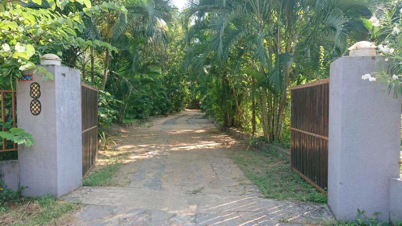 Leopard City Hostel Yala 蒂瑟默哈拉默 外观 照片