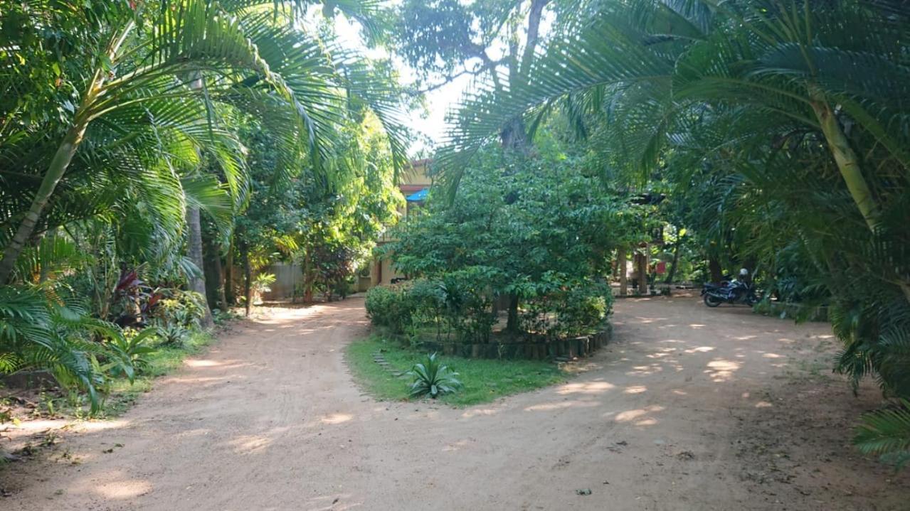 Leopard City Hostel Yala 蒂瑟默哈拉默 外观 照片