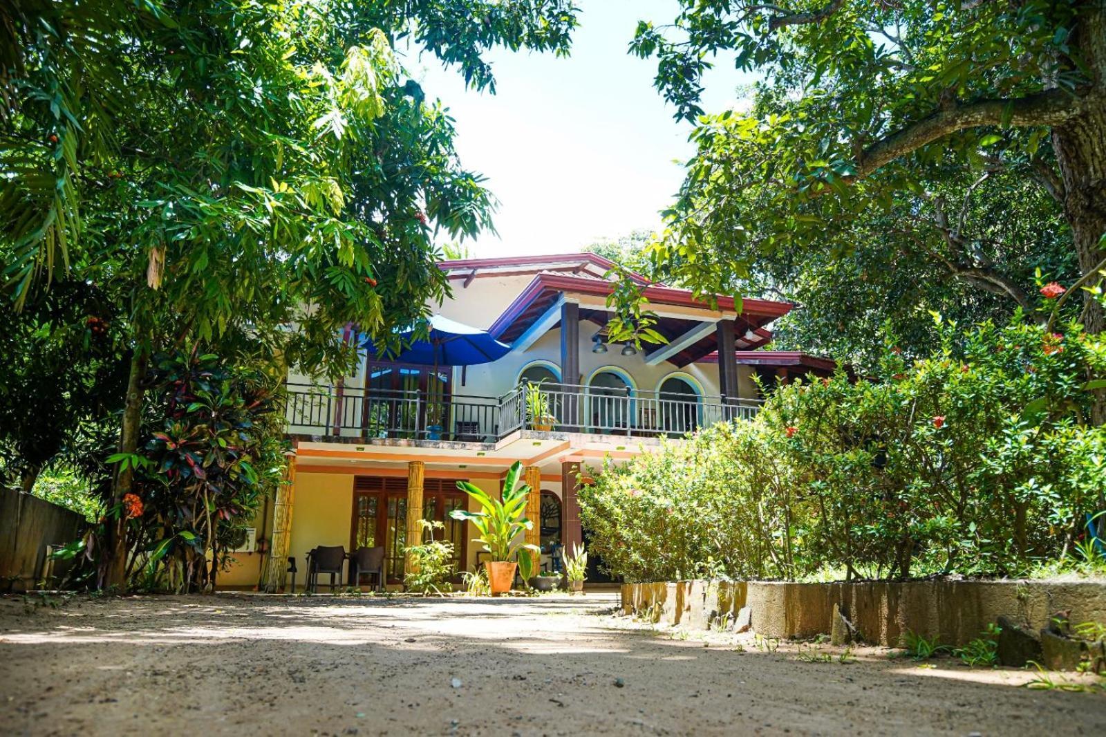 Leopard City Hostel Yala 蒂瑟默哈拉默 外观 照片